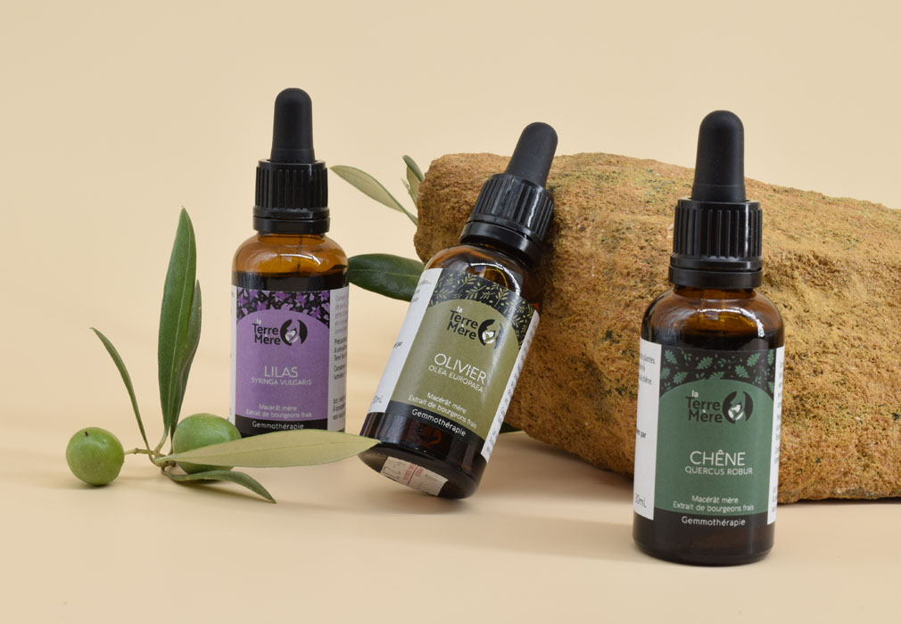 la terre mÈre gemmothérapie